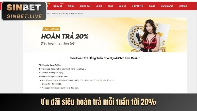 Hoàn trả casino dagac3